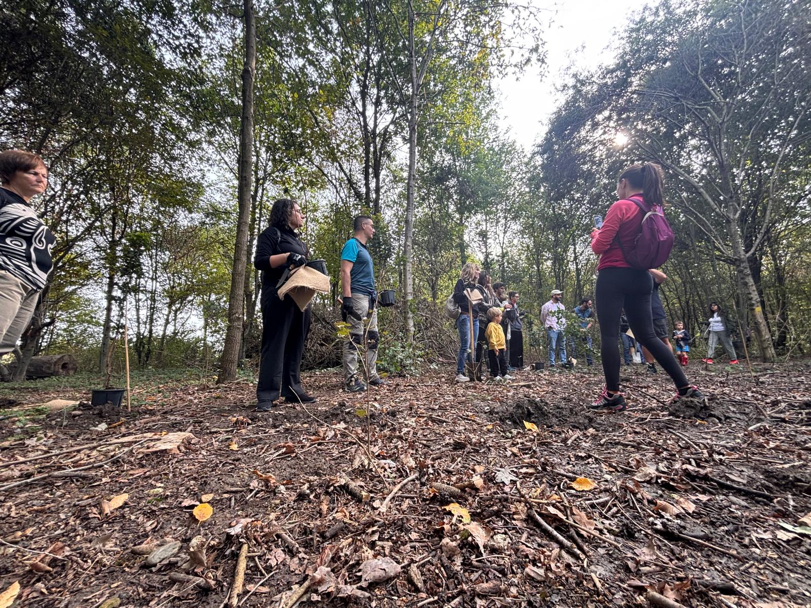 Participants gathering with saplings